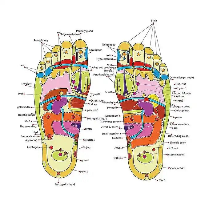 Natural Foot Slippers Massager – Acupressure Therapy for Total Wellness