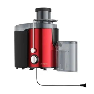 Stainless Steel Portable Fruit Juicer | On-the-Go Smoothie Maker