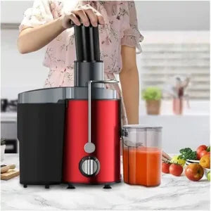 Stainless Steel Portable Fruit Juicer | On-the-Go Smoothie Maker